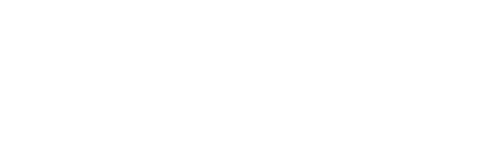 Avenor Strategies LLC
